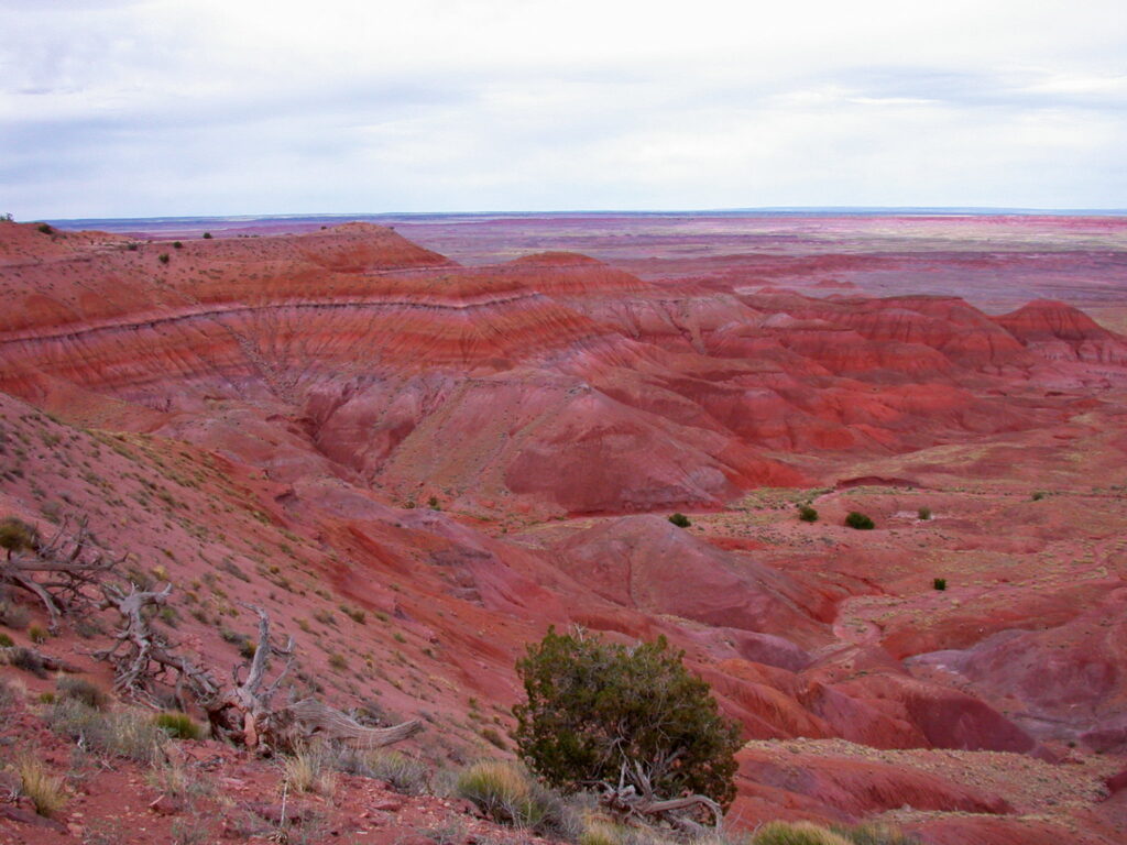 Arizona, Attractions, Kingman, Long-term RV camping Kingman Arizona, Kingman AZ RV campground amenities, zunirvparkpainteddes